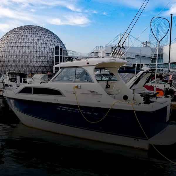 Discovery 246 Bayliner