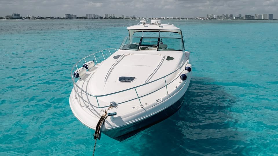 WhatsApp Image 2025 10 28 at 3.48.06 PM