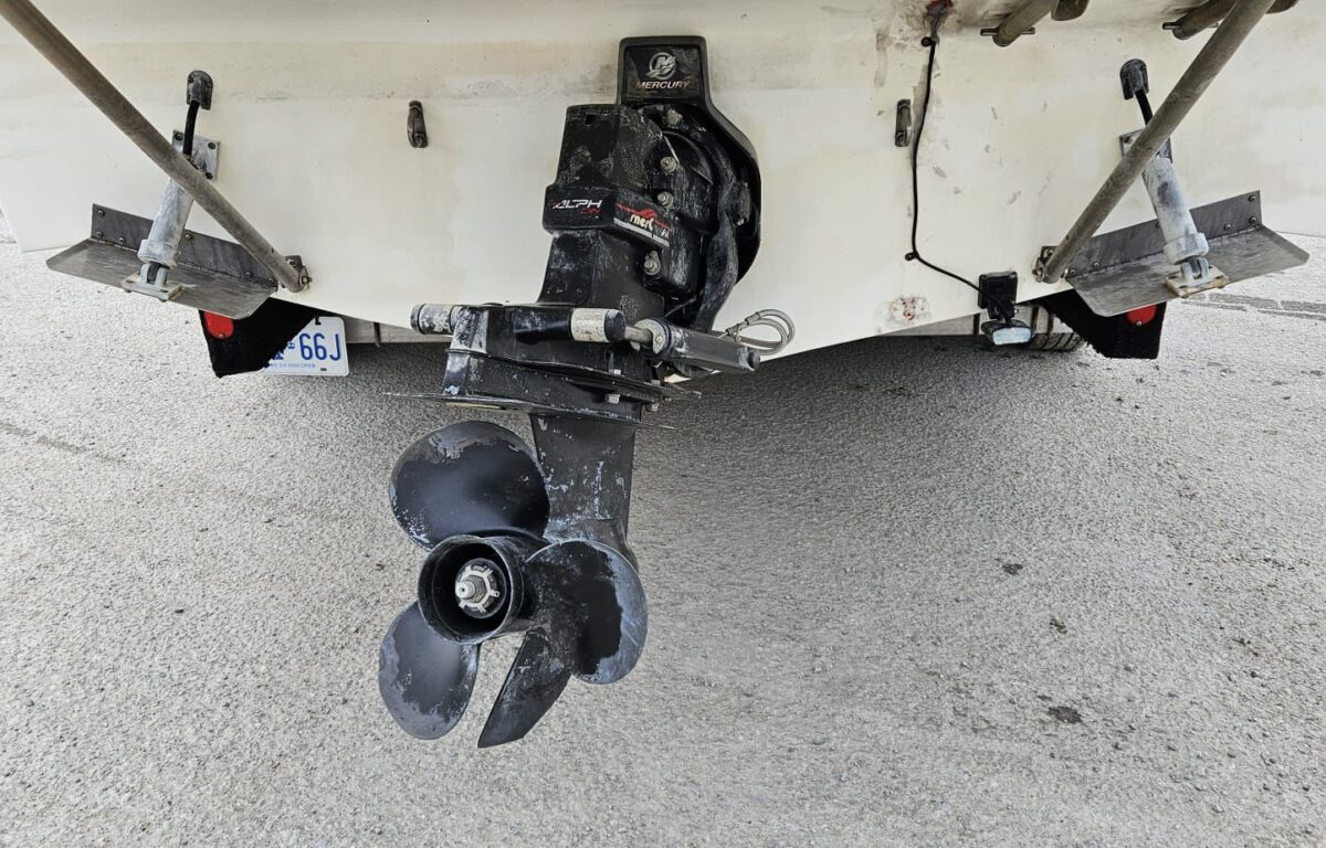 WhatsApp Image 2025 09 24 at 8.56.57 PM (1)