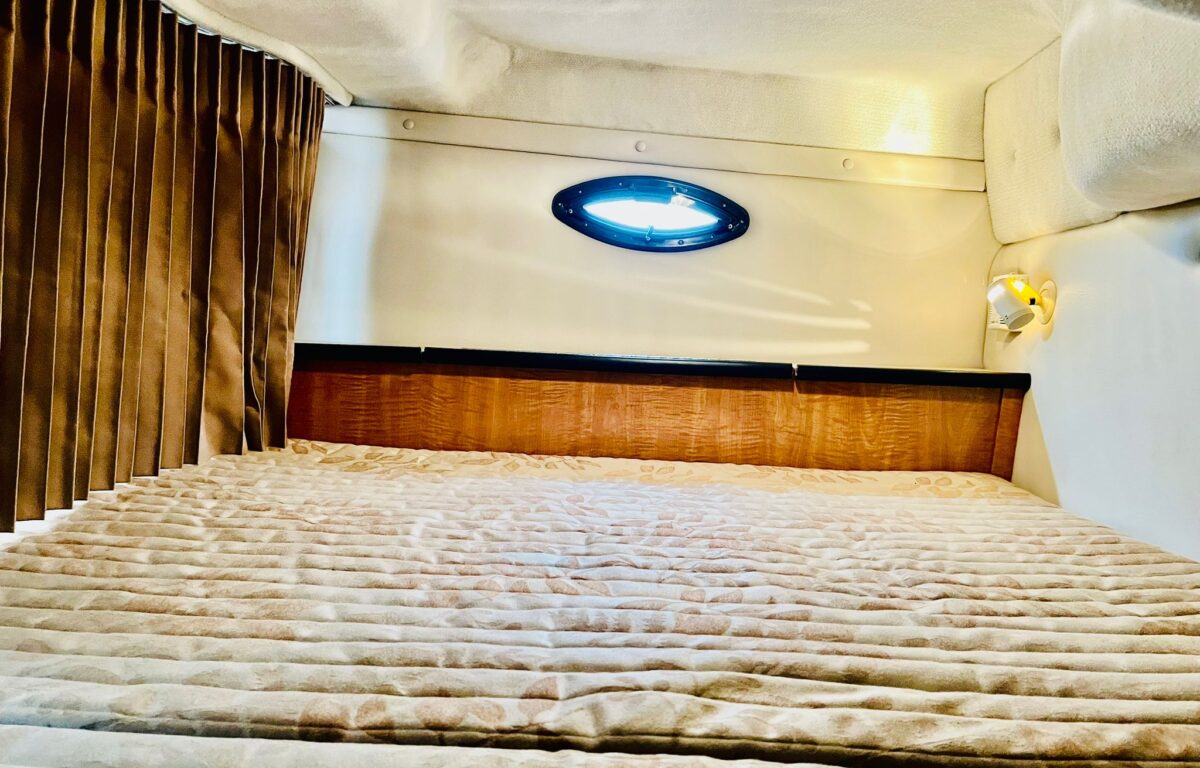 WhatsApp Image 2025 10 14 at 7.35.16 AM (4)