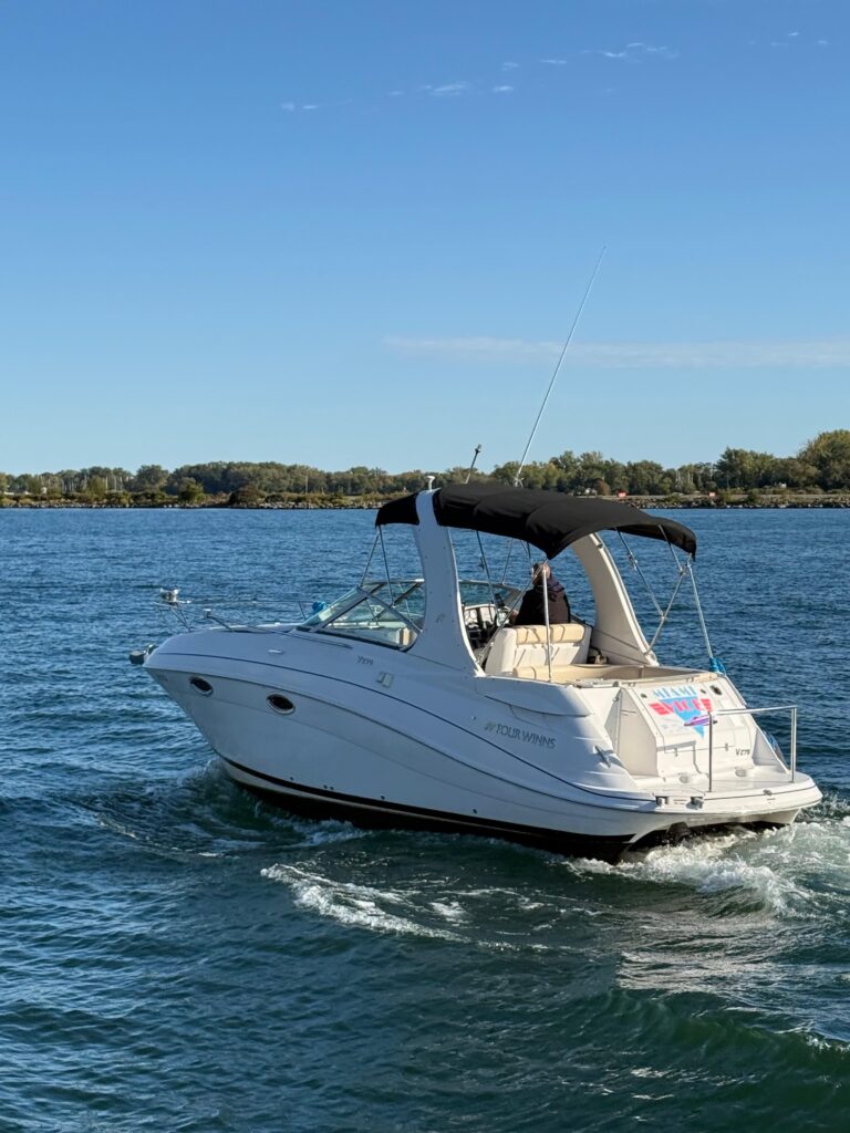 3fc444cc 449b 4a2d b6c1 c40e0e19d616