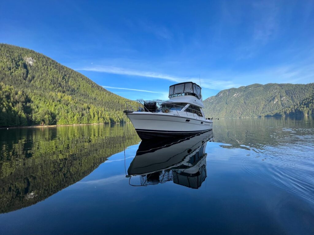 98c9bda9 719a 4d8b ac76 d6f421d80032