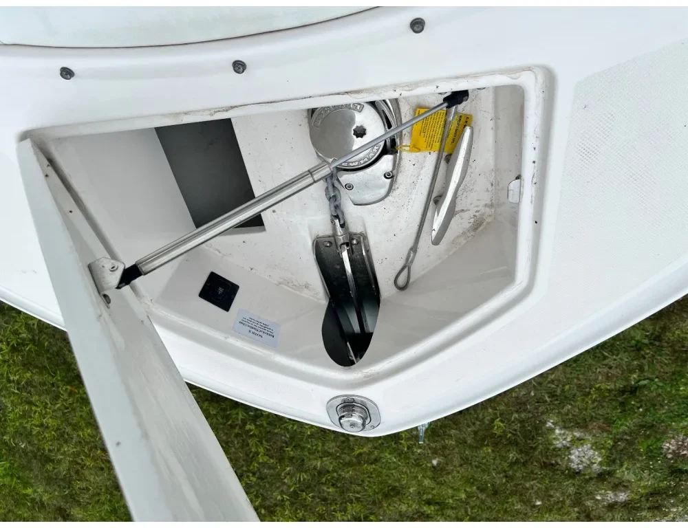 Photo 2023 07 27, 11 42 45 AM 1000x1000w.jpg