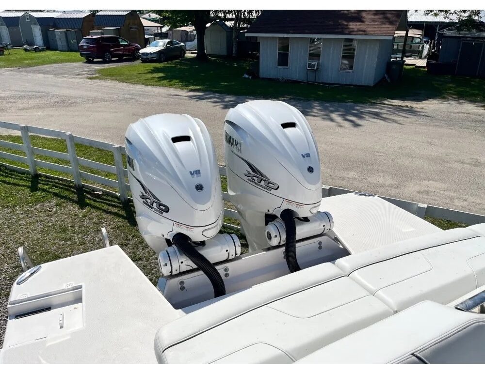 Photo 2023 09 05, 11 55 54 AM 1000x1000w