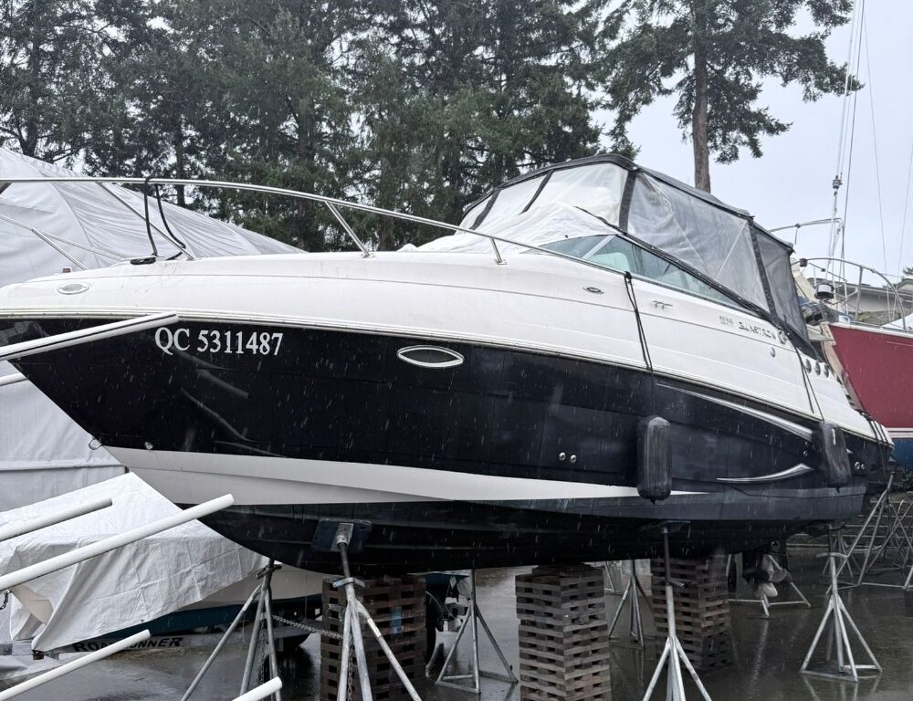 pixelbatch WhatsApp Image 2026 02 02 at 2.59.52 PM (1)