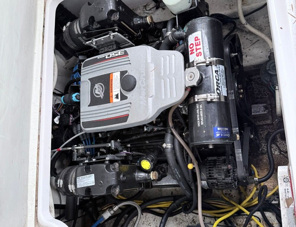 pixelbatch WhatsApp Image 2026 02 02 at 2.59.53 PM