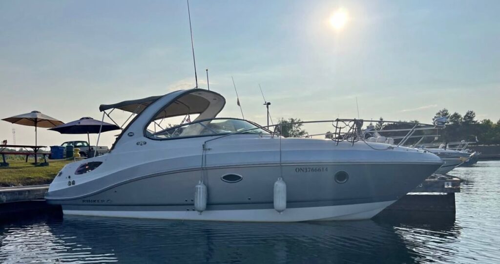 WhatsApp Image 2026 01 05 at 8.24.47 PM