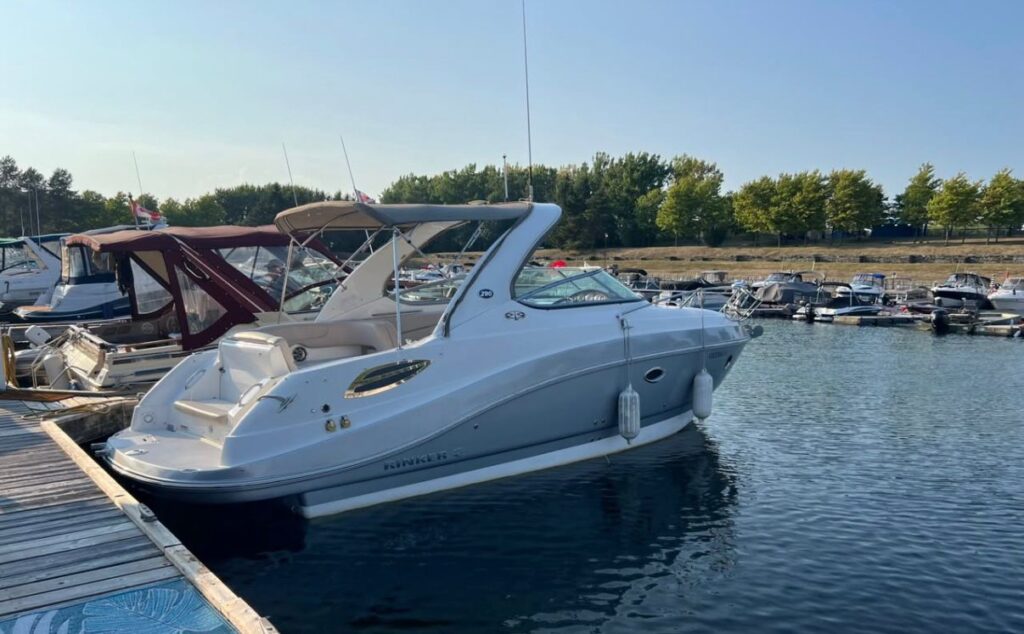 WhatsApp Image 2026 01 05 at 8.24.47 PM (2)