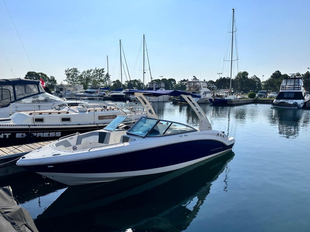 WhatsApp Image 2026 01 06 at 8.38.15 AM