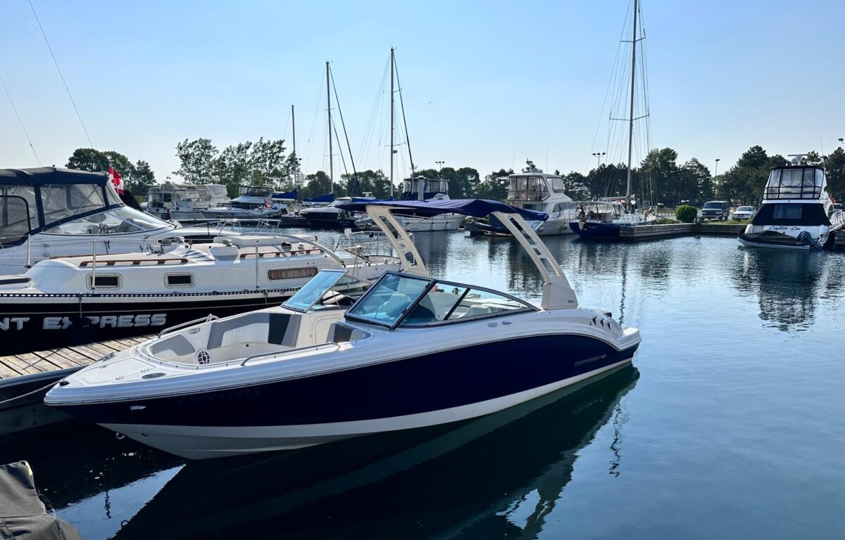 WhatsApp Image 2026 01 06 at 8.38.15 AM