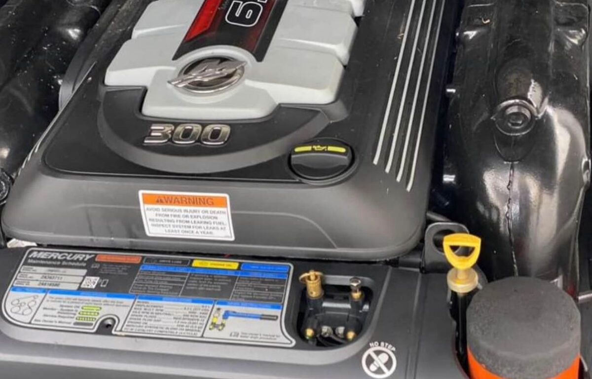 WhatsApp Image 2026 01 08 at 8.06.18 AM (4)