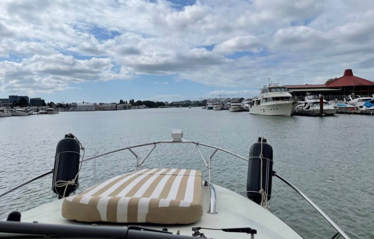 WhatsApp Image 2026 01 16 at 1.29.03 PM (3)