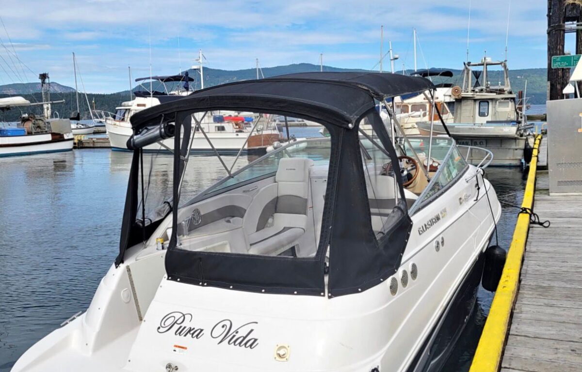 WhatsApp Image 2026 01 17 at 9.13.47 PM