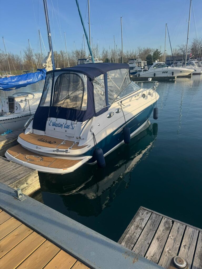 WhatsApp Image 2026 01 20 at 2.30.46 PM (7)