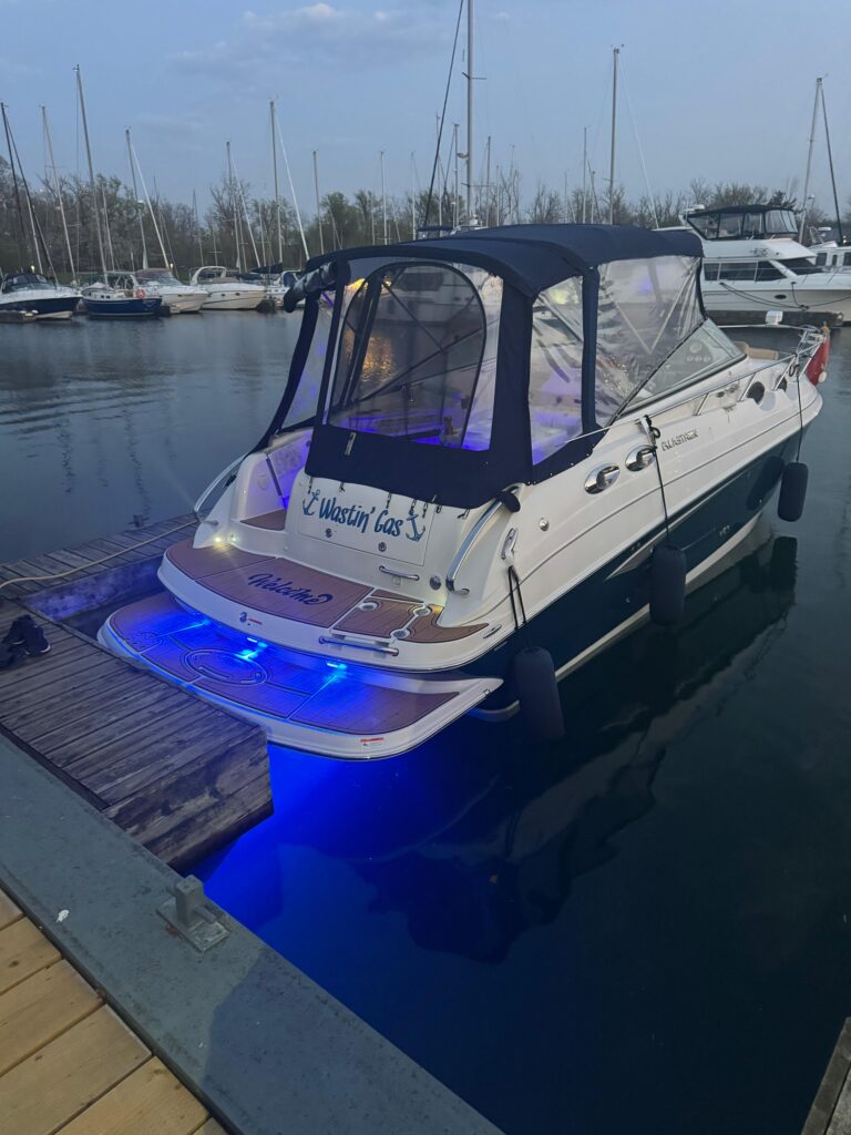 WhatsApp Image 2026 01 20 at 2.30.48 PM