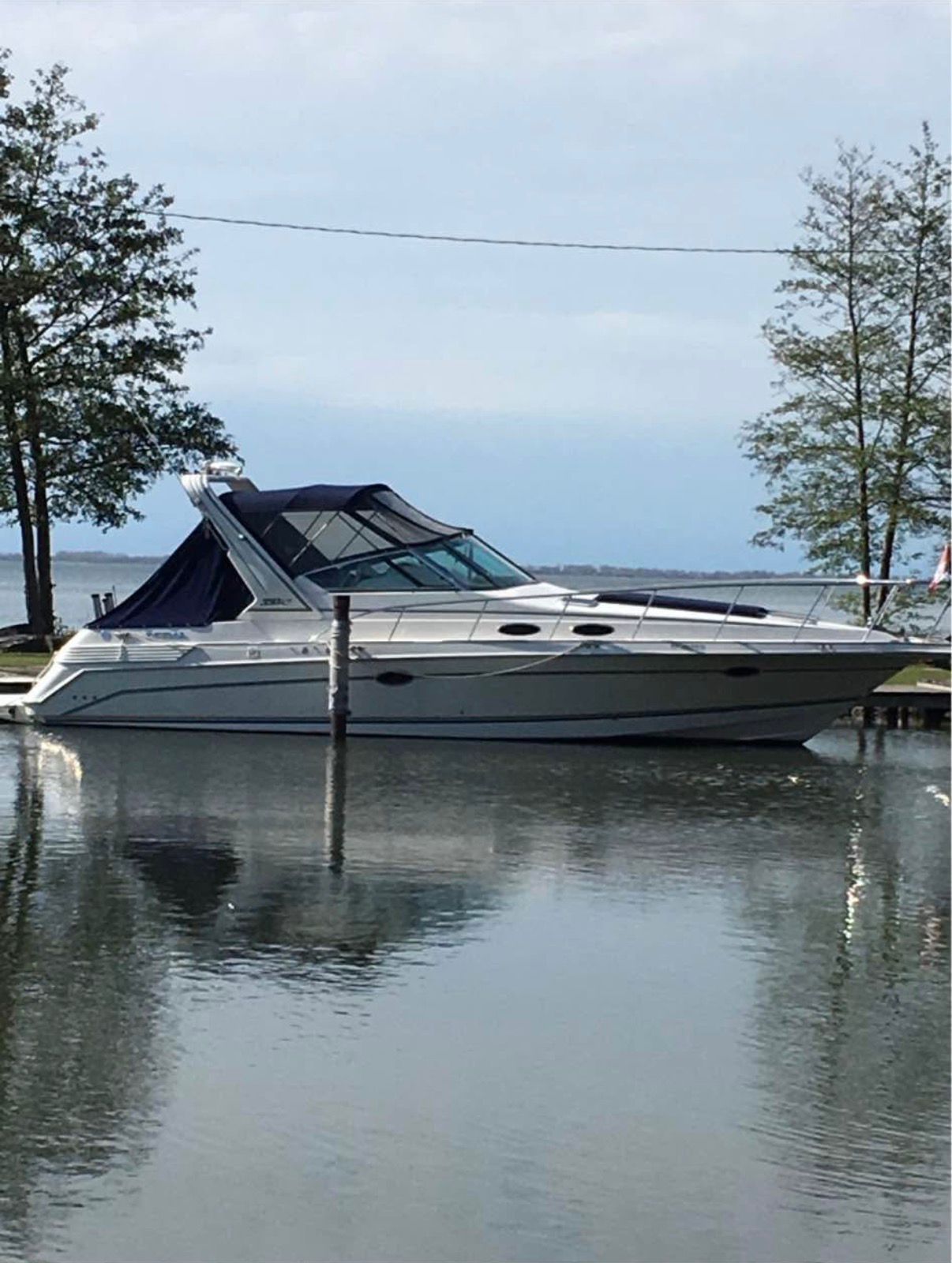 WhatsApp Image 2026 01 21 at 10.10.44 AM