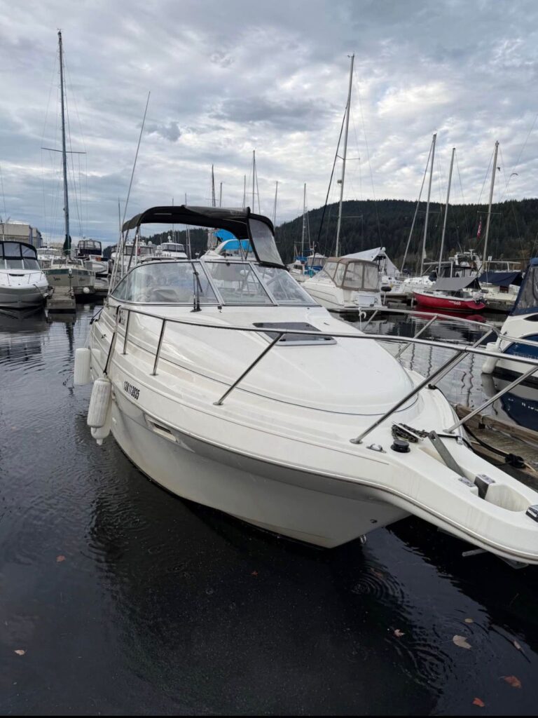 WhatsApp Image 2026 01 21 at 5.20.53 PM (1)