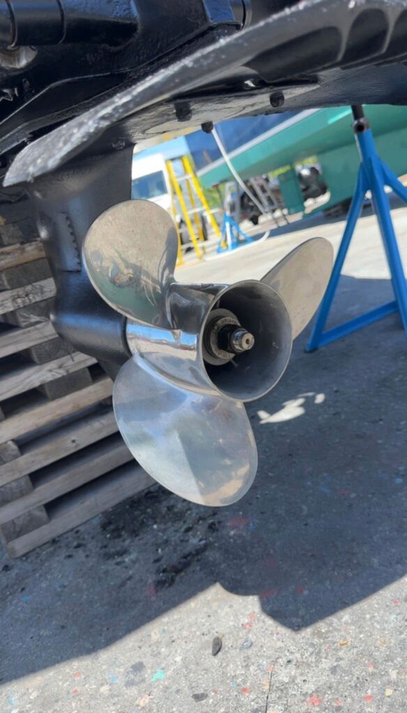 WhatsApp Image 2026 01 21 at 5.20.55 PM (1)