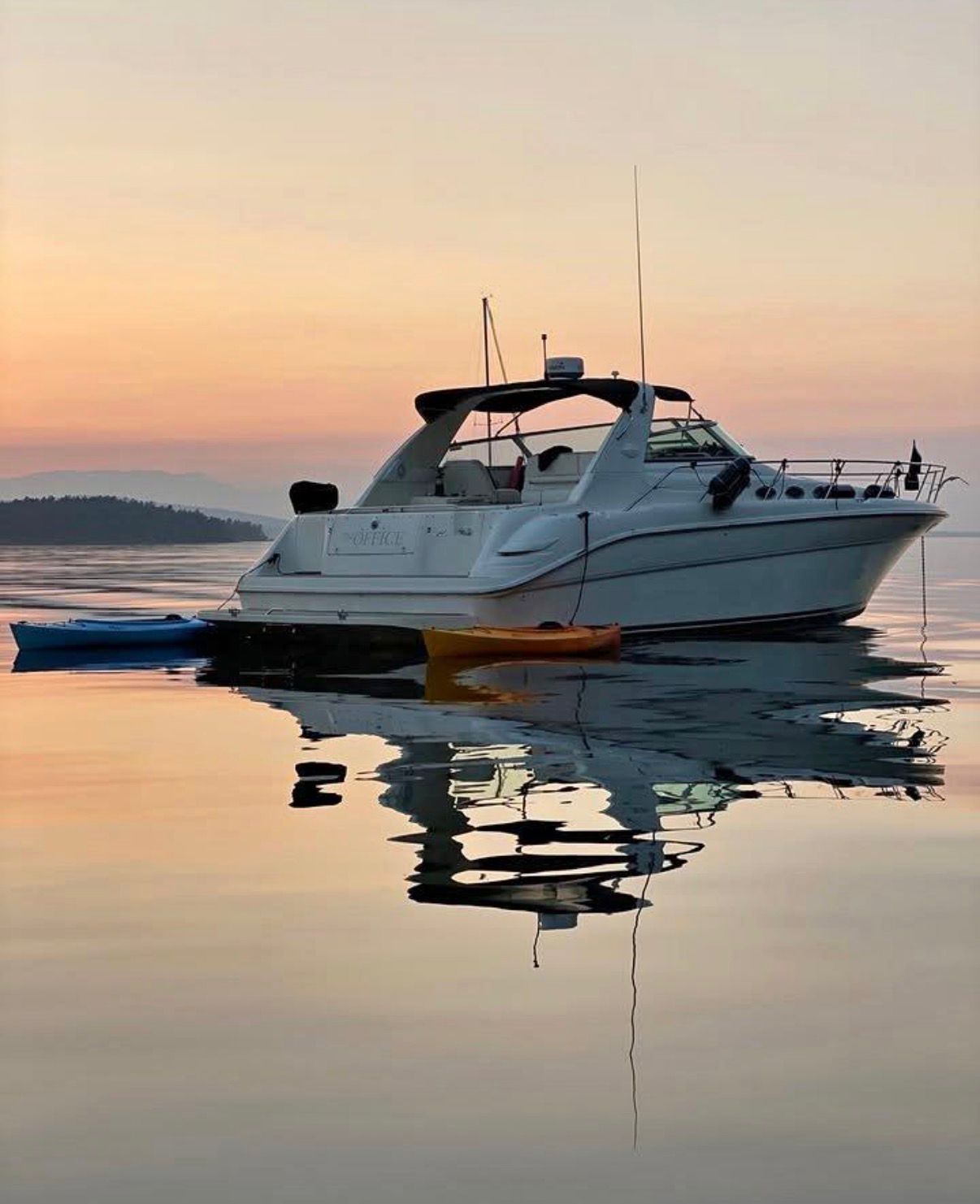 WhatsApp Image 2026 01 29 at 2.28.57 AM