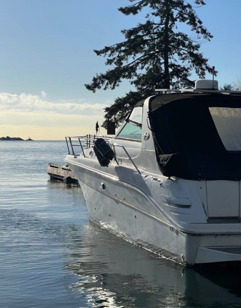 WhatsApp Image 2026 01 29 at 2.28.58 AM