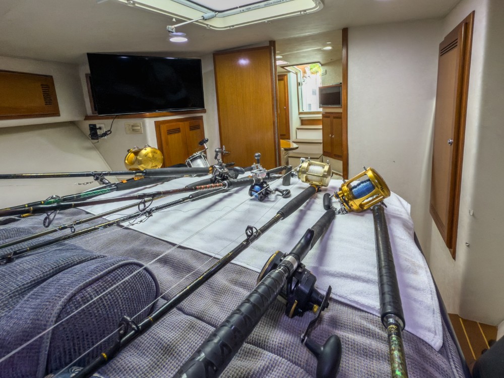 pixelbatch WhatsApp Image 2026 02 26 at 9.23.20 PM (9)