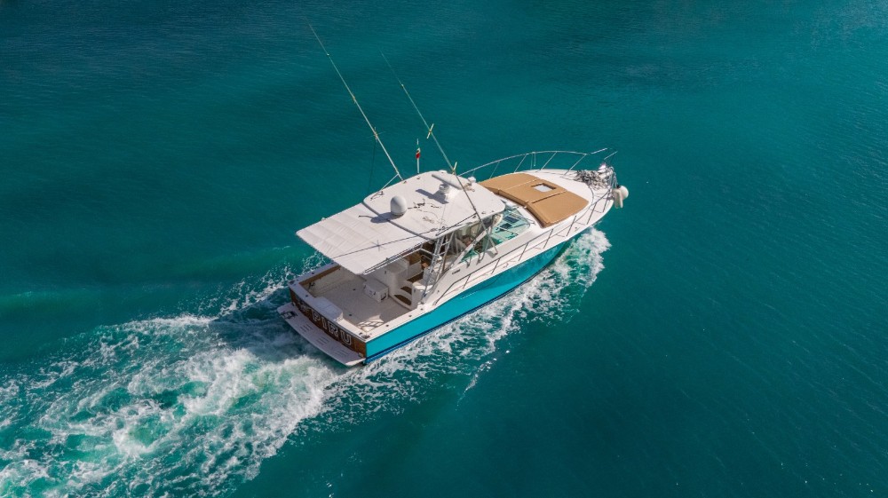 pixelbatch WhatsApp Image 2026 02 26 at 9.23.20 PM