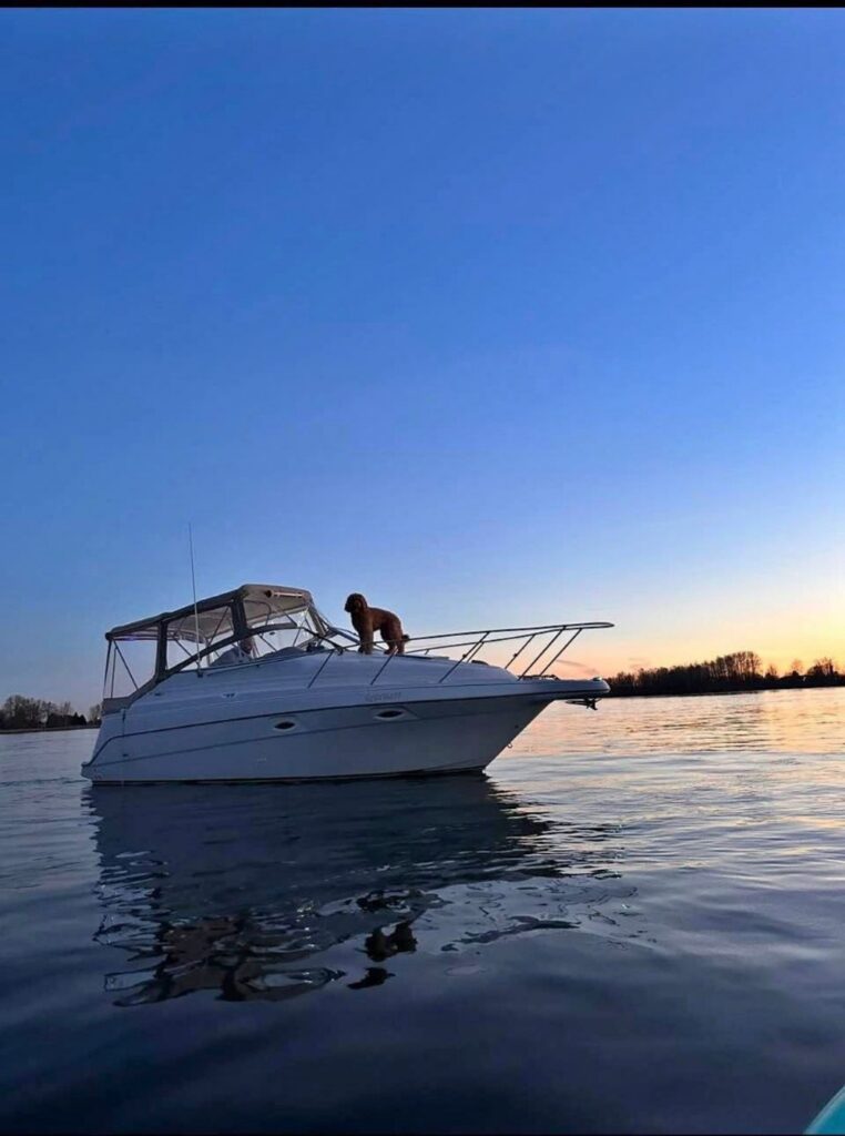 pixelbatch WhatsApp Image 2026 04 16 at 11.14.44 PM